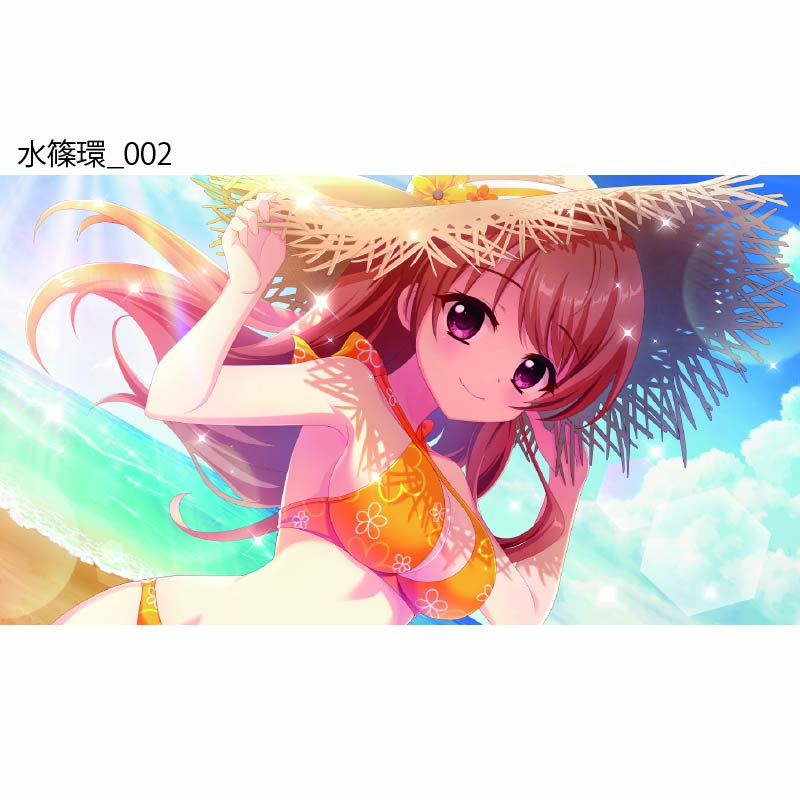 Re:ステージ！ プリズムステップ 水篠環アクリルスタンド