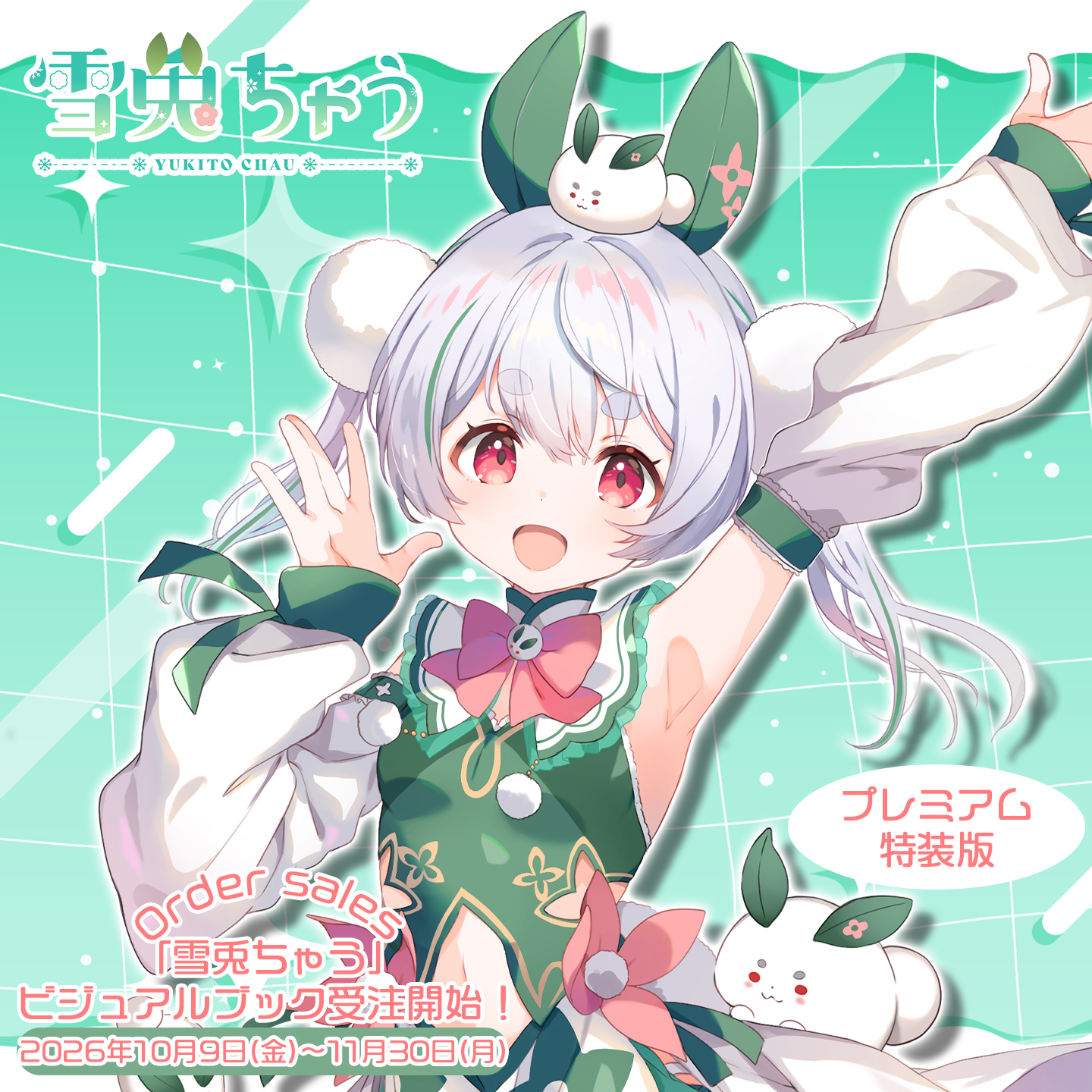 雪兎ちゃうビジュアルファンブック【プレミアム特装版】